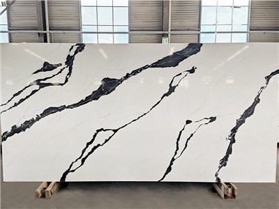 Calacatta Black Quartz